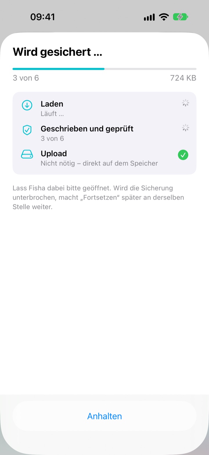 Fortschritt der Sicherung mit Statusanzeige